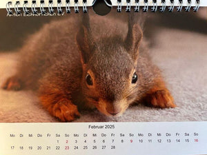 Kalender 2025 Aktion Eichhörnchen