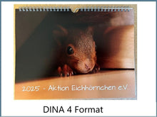 Laden Sie das Bild in den Galerie-Viewer, Kalender 2025 Aktion Eichhörnchen