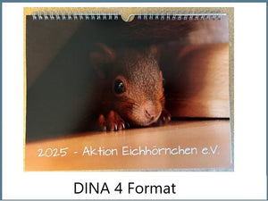 Kalender 2025 Aktion Eichhörnchen